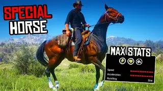 How To Get Special TURKOMAN still WORKS (Braithwaite Turkoman) - RDR 2