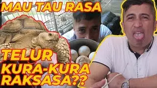 NYOBAIN TELOR KURA-KURA RAKSASA, GIMANA RASANYA??