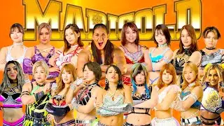 Marigold Roster Guide 2024