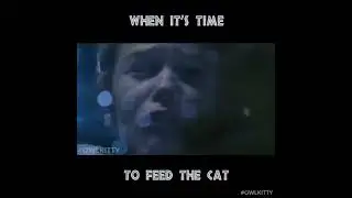 When is time to feed the cat 🐈‍⬛🤣 #funny