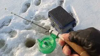 ЩУКА НА ЦАПЛЮ. Цапля - это не птица.