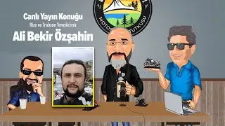 Gelişine Yarım Vole 