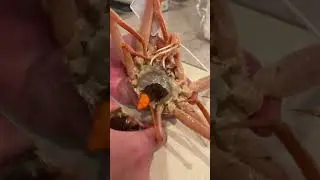 Japanese chef funny crazy seafood video😂😂😂|Tiktok the Best!! 