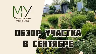Обзор участка в начале сентября