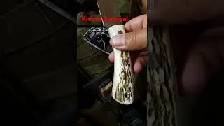 What Does the Future Hold