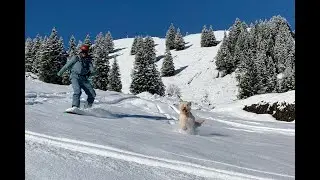 first time splitboard tour with the dog! and checking siroko w2 jacket and the siroko slope pants!