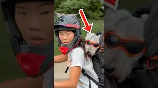 Ebike rides with my dog are super fun!
