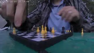 ШАШКИ игра с ПРОФИ !?! РуС ~ 317A