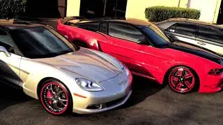 AMAZING CAR LINE UP