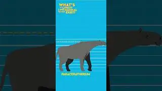 What’s The Largest Land Mammal To Ever Exist? #debunked #kingkong #learningvideos #educationalvideos