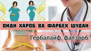 Хароб ва фарбех шудан/ Чавоб ба саволхо. Фоидаи гербалайф? 