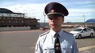 Медведь в центре Архангельска