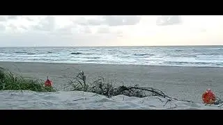 Sidselbjerg Strand