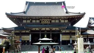 Kawasaki Daishi Heikenji Temple, Kanagawa