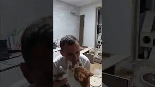 Анбоксинг кошачьего дома #кот #анбоксинг #unboxing #мебель #котики #catlover