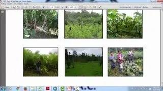 Capitulo 10  Indice de Cobertura y Usos de la Tierra o FACTOR C