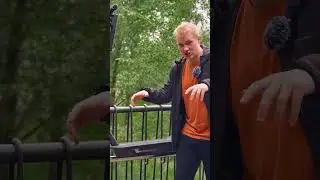 Новые бибикалки на электросамокатах
