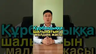 Құрбандыққа шалынатын малдың жасы/құрбан айт 2024/курбан айт 2024