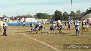 Nehemia Guess #17 Mantachie Mustang's