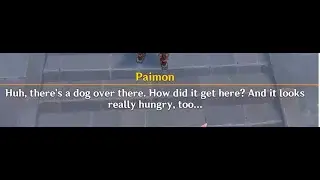 "But where's the dog, Paimon?"