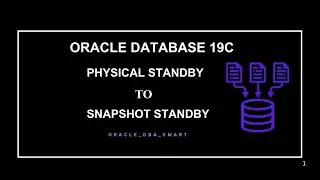 Database convert to physical standby to snapshot standby mode for application Testing