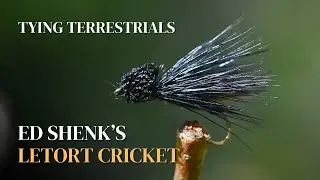 Fly Tying Ed Shenk's Letort Cricket, Fantastic Terrestrial Pattern!