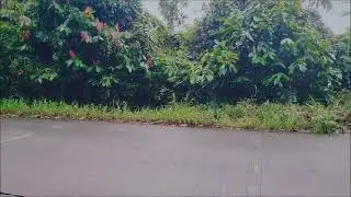 Land For Sale in Beaton St David's Grenada (Touched Reality Real Estate  Services)