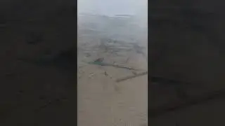 Вытаскивали лодку с берега, а внутри маленькая минога спряталась, отпустил в воду!