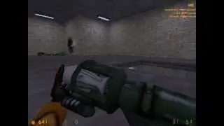 HALF-LIFE atamata a repick