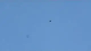 Голуби Ирана с очень необычной игрой.
