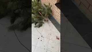 С Новым Годом 