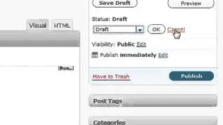 Posting on Wordpress