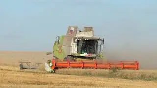Уборка пшеницы  с CLAAS TUCANO 570 и CLAAS LEXION 670.