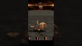 Mounts 105 #lineage2 #la2 #gaming #mmorpg #games #classic