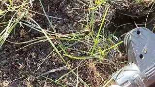 Новое место для полигона! Ура я его сделал!