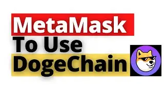 How To Set Up Your MetaMask To Use The Dogechain