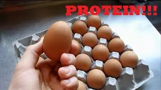 5 Foods To Get More Protein In Your Diet!