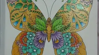 Let's use Grizaye pencils in Small Victories by Johanna Basford to color a beautiful butterfly.