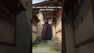 Me asking why pheonix main keep flashing