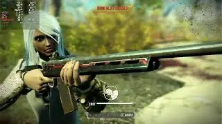 Fallout 4 w/Mods in Steam Deck (Target 30fps)