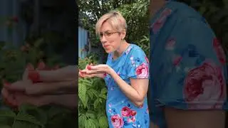 Малина и питомцы
