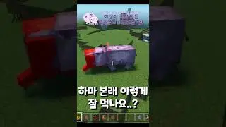 세계 동물들 먹는 하마 모드 [마인크래프트 BE] #shorts