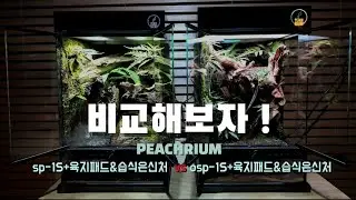 두가지를 비교해보자 !  크레 전용  하우스! 물이 흐르는 타입 두가지 사육장을 함께 볼께요!