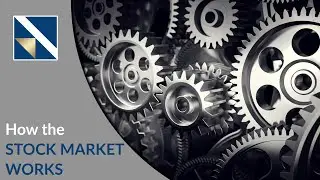 How the Stock Market Works | VectorVest