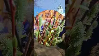 С Вербным Воскресеньем😊