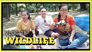 WILDLIFE in Quezon City