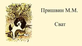 Пришвин Михаил "Сват"