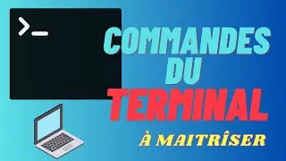 Terminal commands (command line) to KNOW BY HEART on a LINUX OS