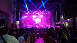 #TBT - Bolillo Con Crema Fest - Dry
