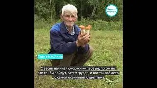 🍄Сергей Холкин с детства рос возле леса, чувствует его дыхание и знает цену дарам природы.